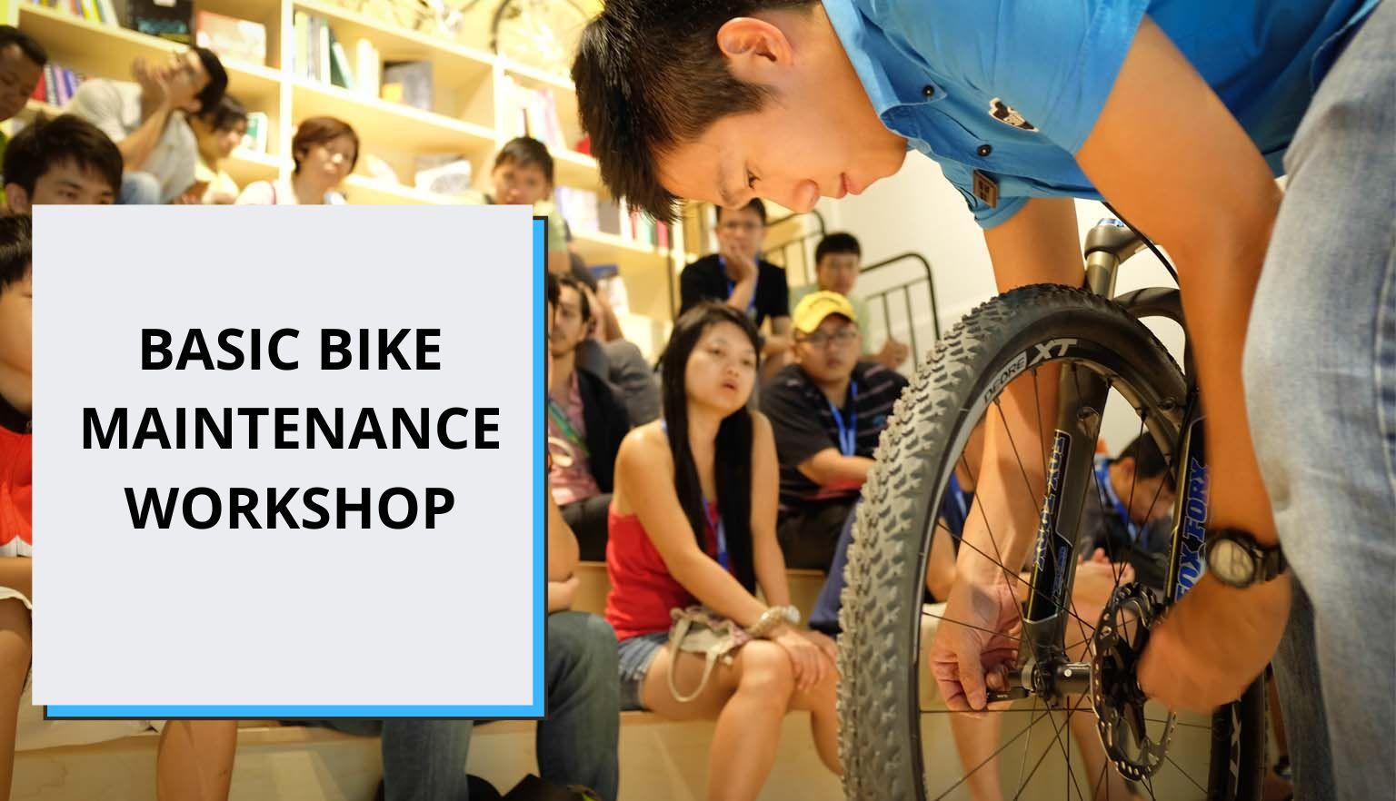 Basic bike online maintenance